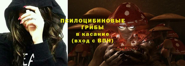 стафф Алзамай