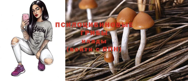 мяу мяу мука Покровск