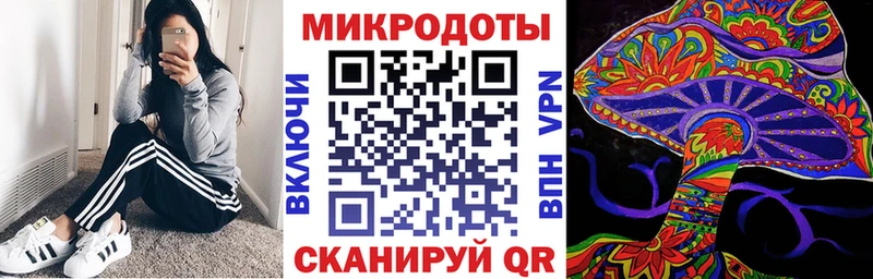 дарнет шоп  Зеленоградск  Галлюциногенные грибы Psilocybine cubensis 