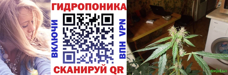 купить наркотик  Зеленоградск  Шишки марихуана индика 